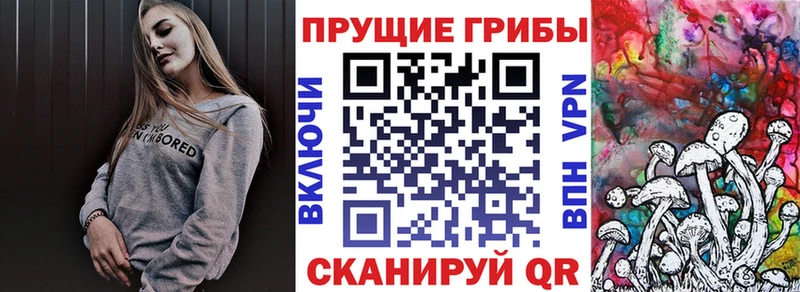 Купить где  Протвино  Галлюциногенные грибы мухоморы 